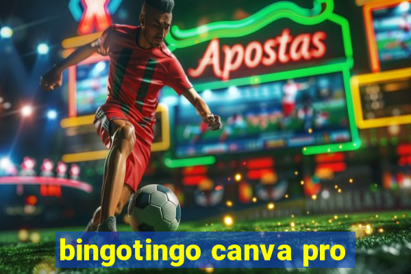 bingotingo canva pro